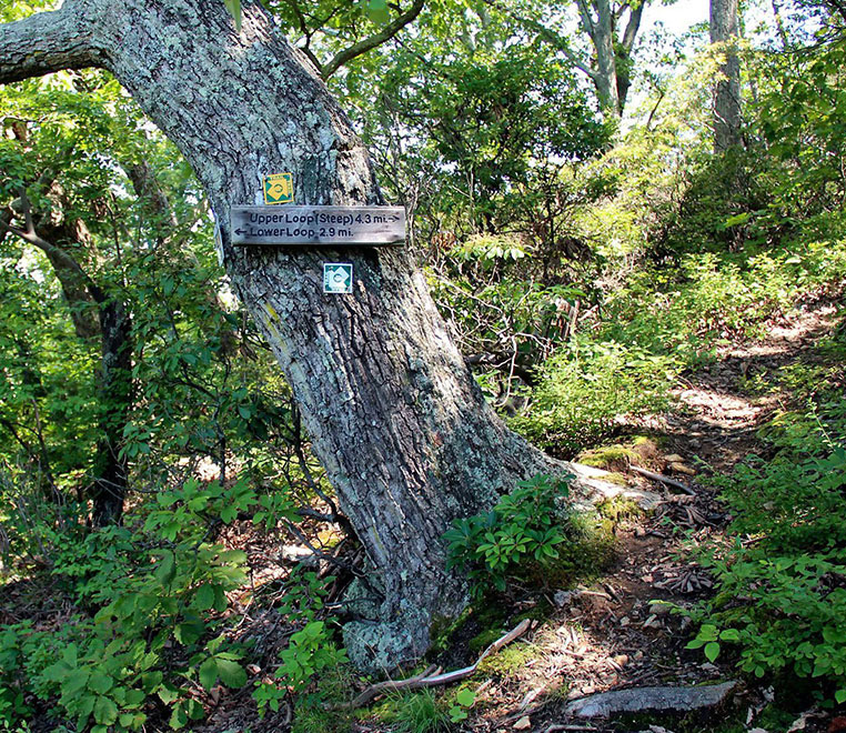 Hike at Wintergreen